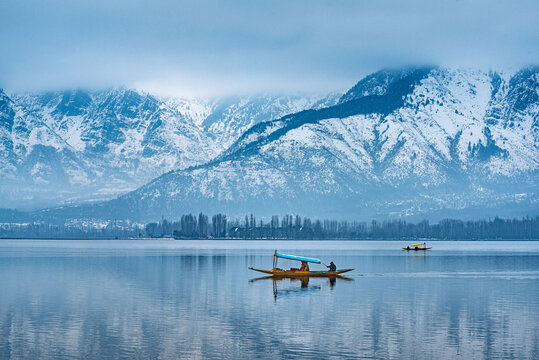 Where Beauty Meets Serenity