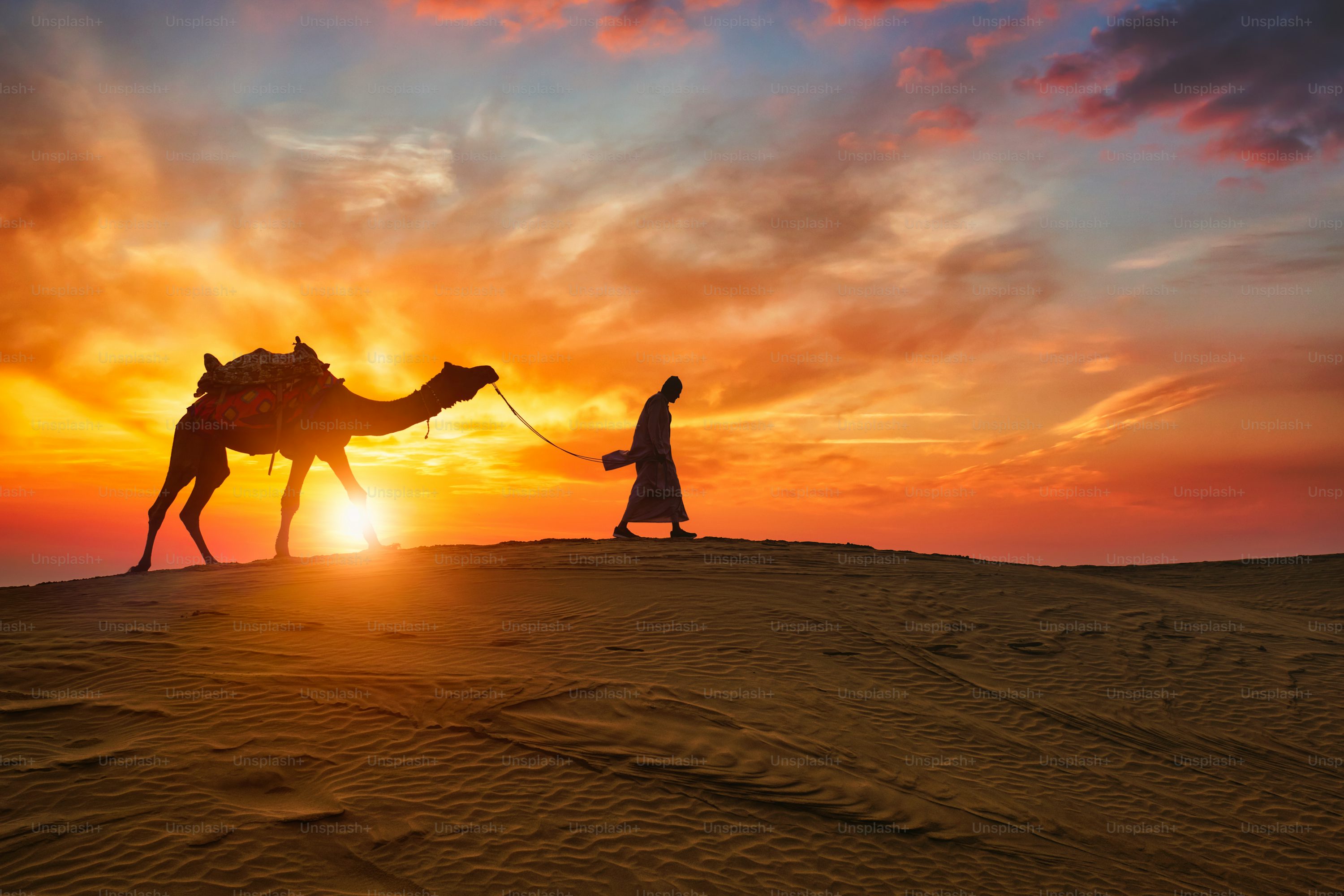 Royal Heritage and Desert Wonders